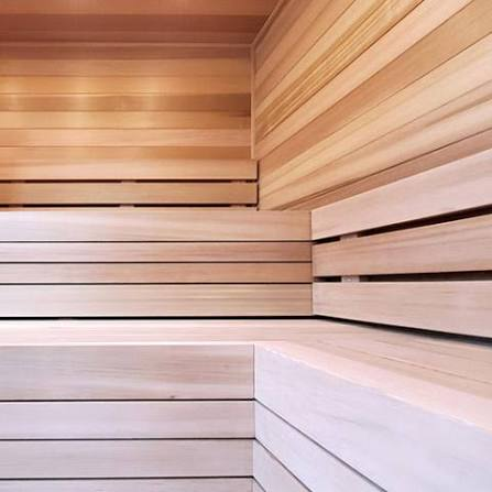 Interior of the Pinehaven Spanish cedar sauna with tiered benching and forest views