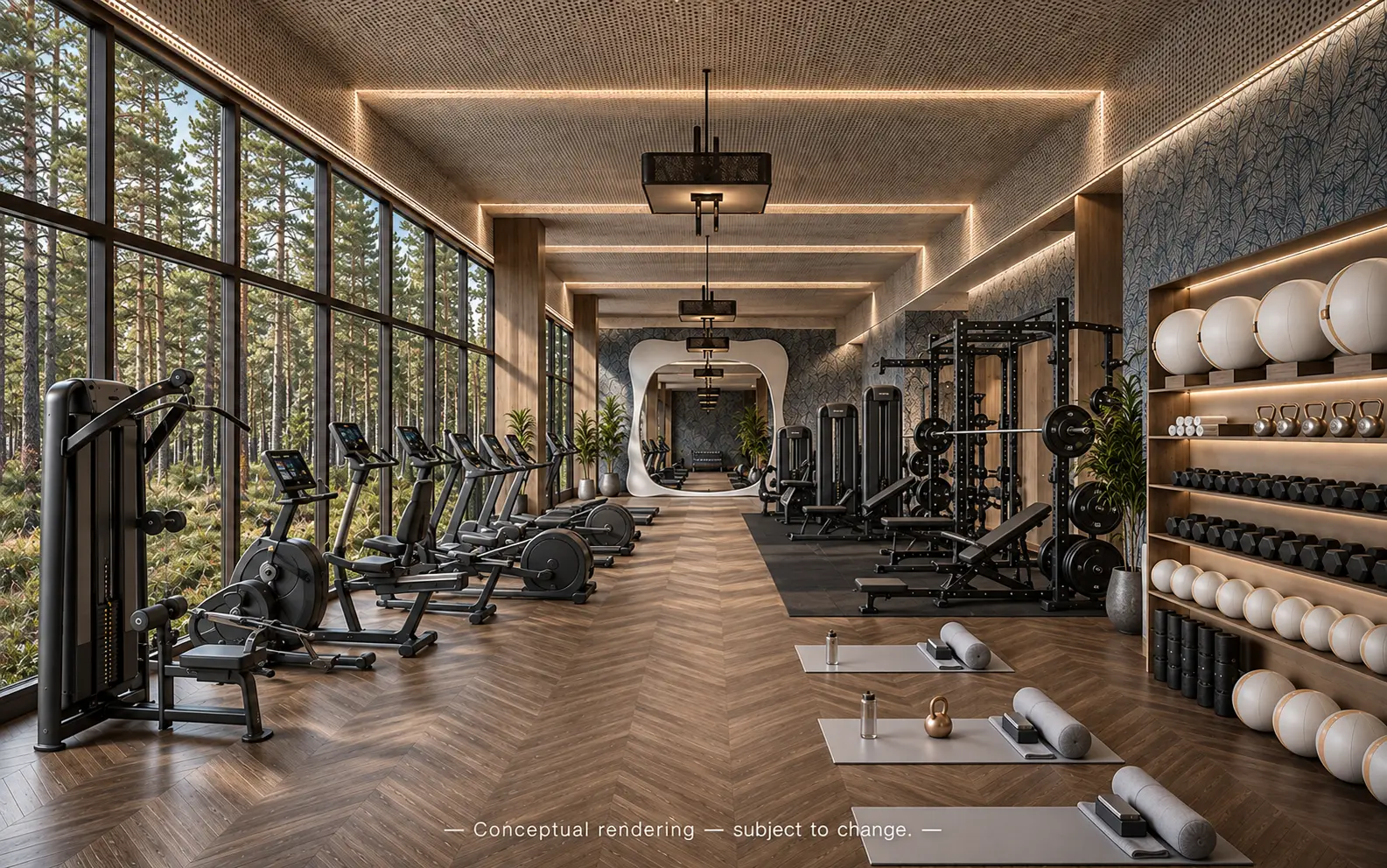 Bright Pinehaven fitness floor with cardio equipment, strength racks, and forest views